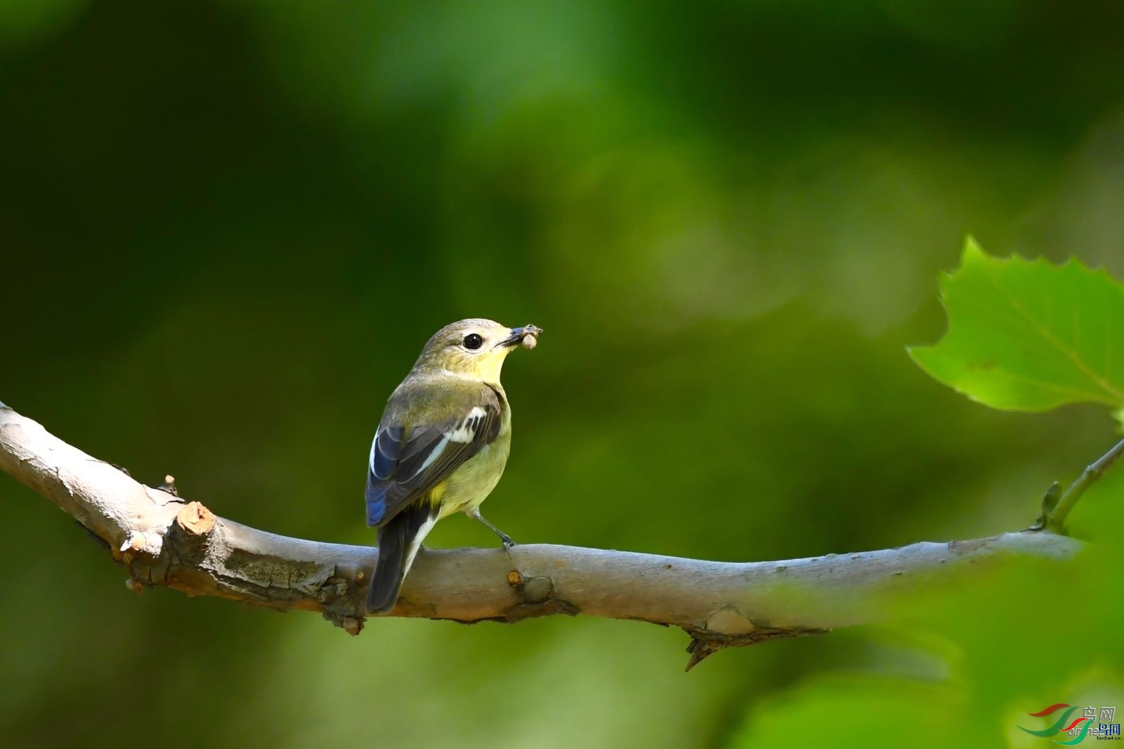 �����  ��ʦ�����ڱ����к�����.jpg