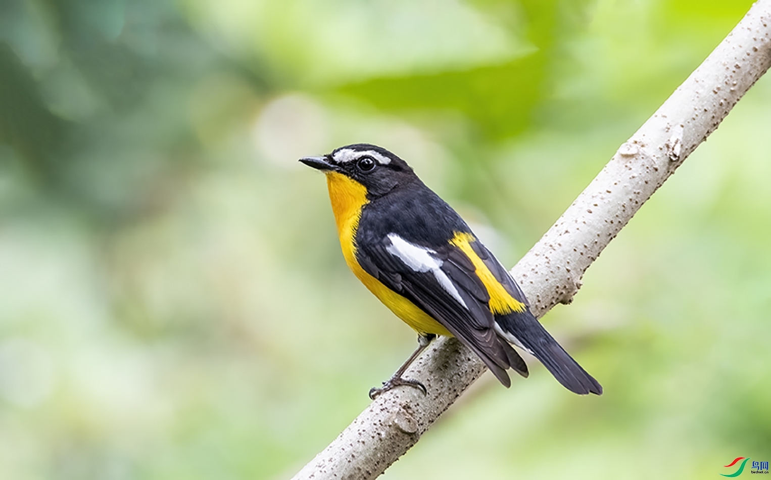 ����  ��ʦ�����ڹ���׳��������������.jpg