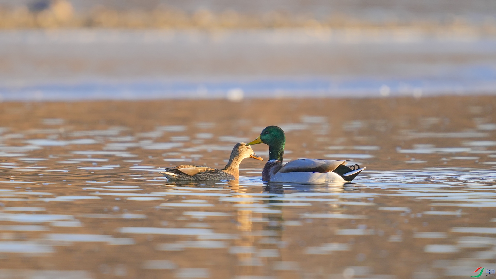 IMG_7270-1.jpg