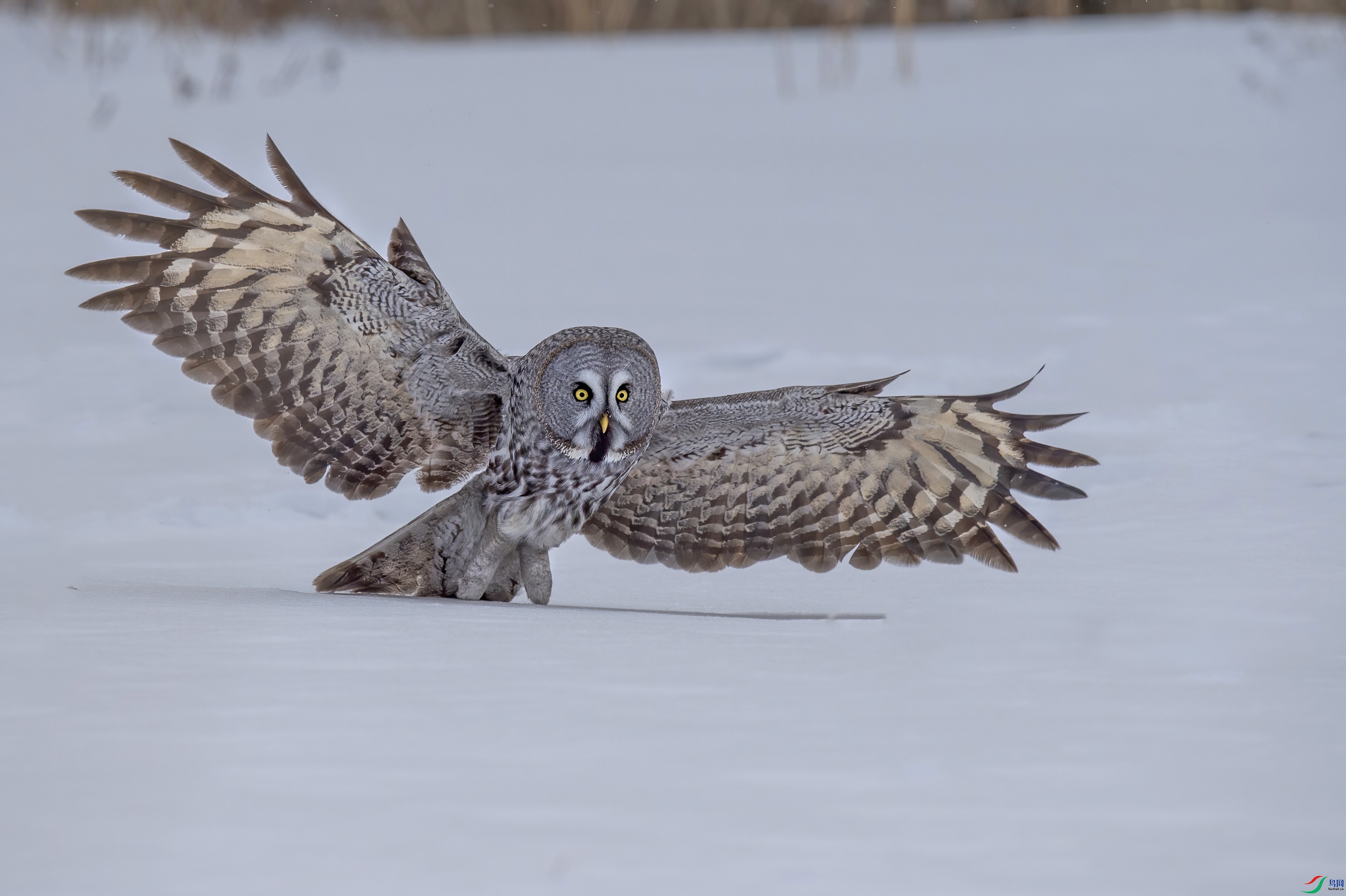 DSC_1948 ����.jpg