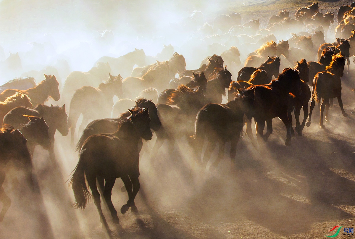 _MG_0783 A ����.jpg