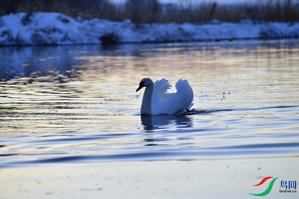 File0000079480.jpg