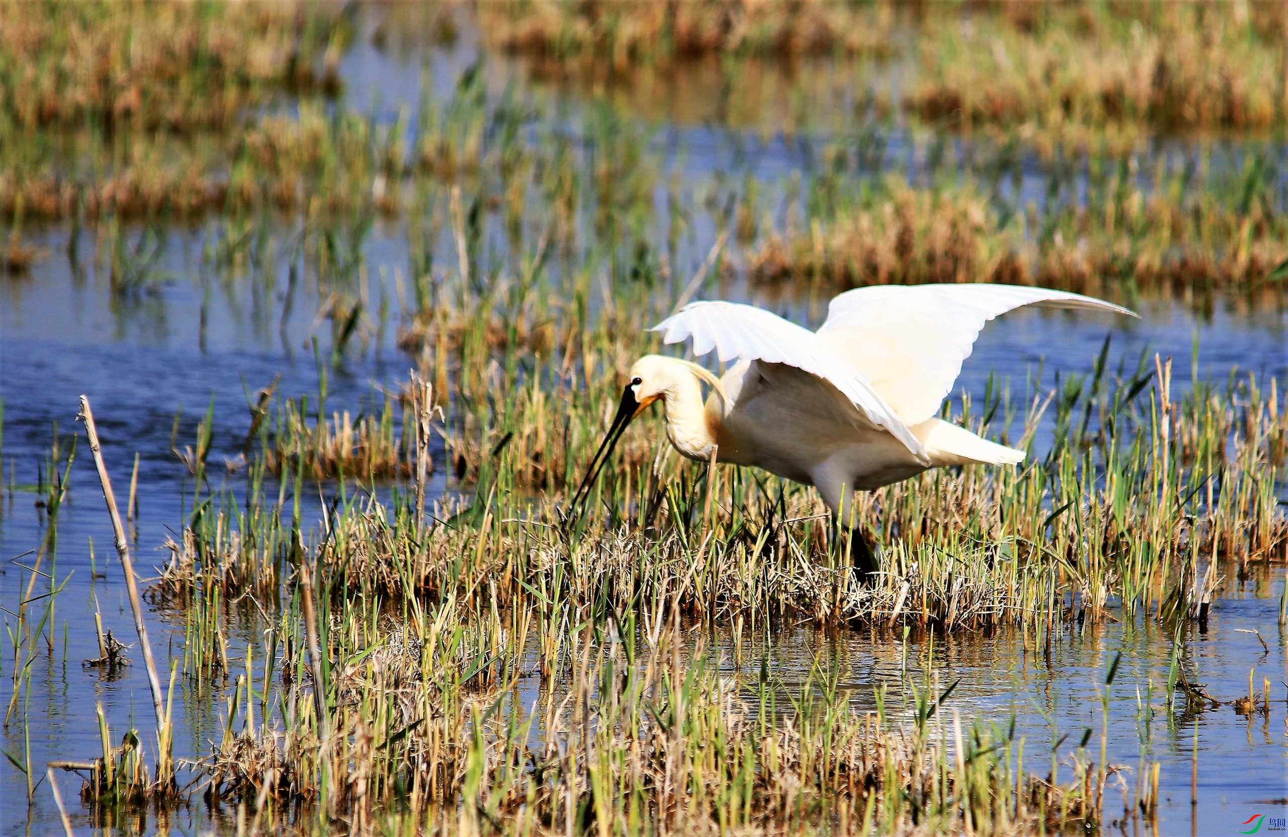 ������ (80).JPG