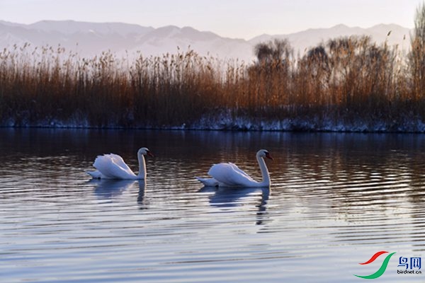 File0000079430.jpg