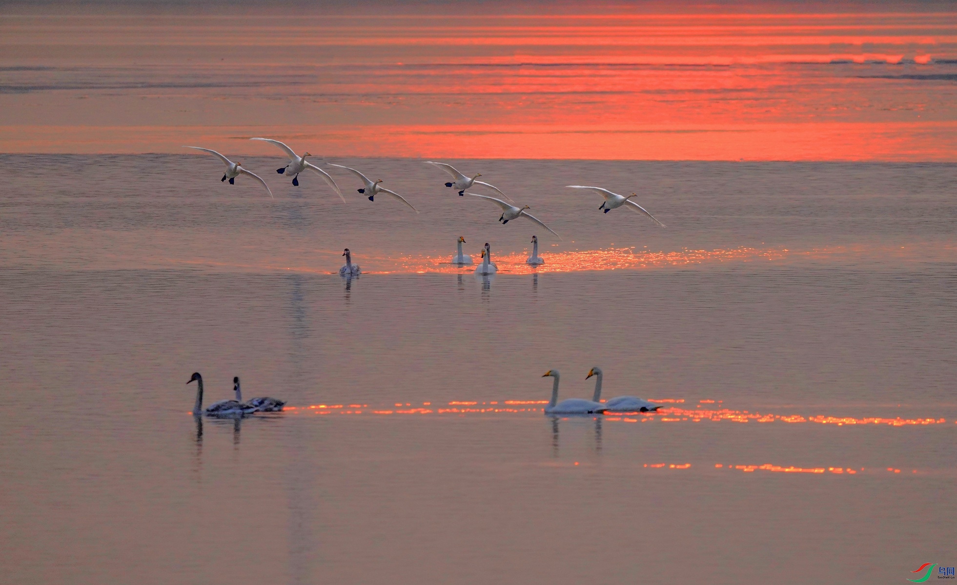 4 DSC04945,_����.jpg