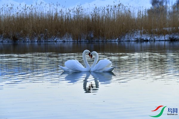 File0000079510.jpg
