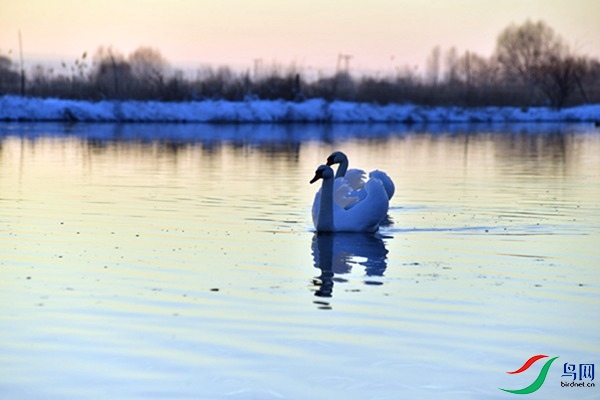 File0000079450.jpg