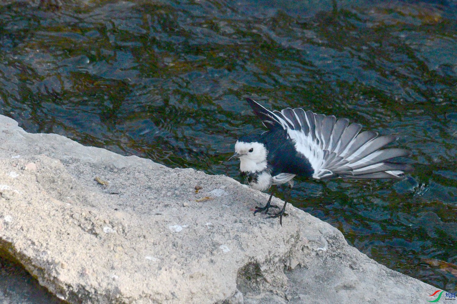 DSC_3136.JPG