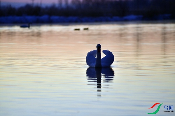 File0000079561.jpg