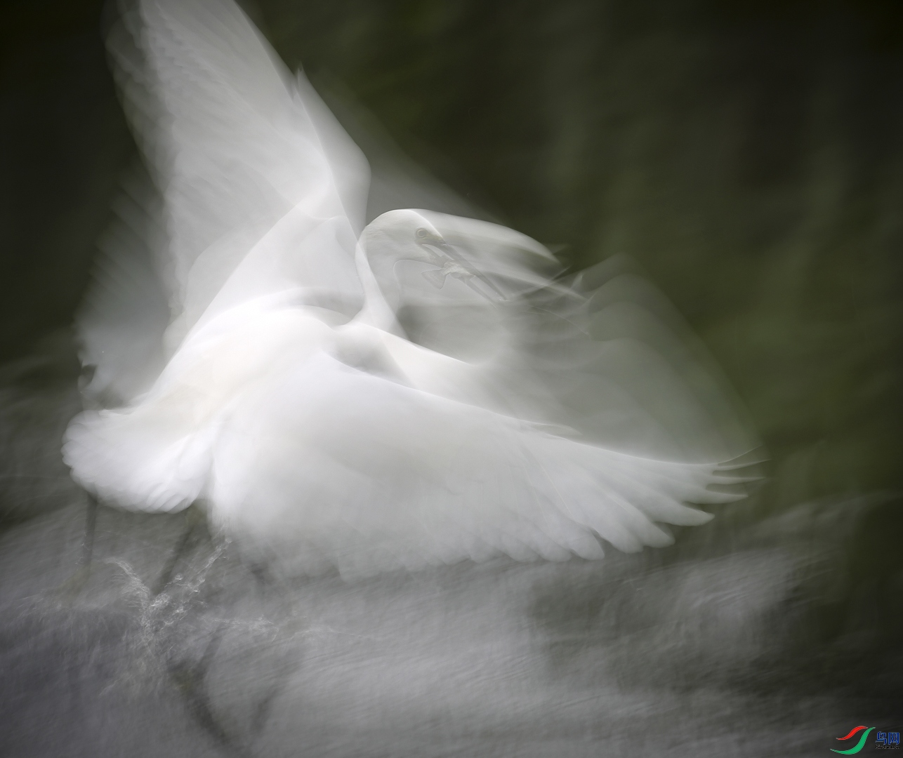 38.������Բ������ ������ ����ʡ 13806901224_1.jpg