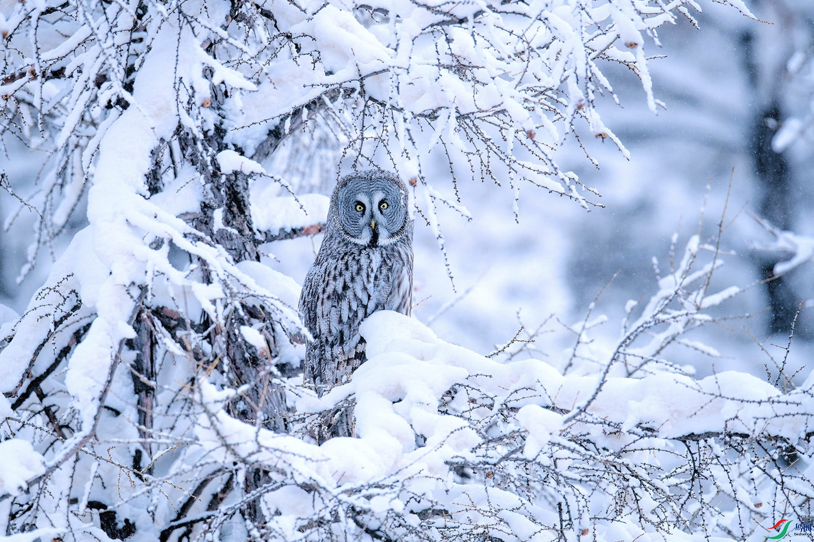 58.��Ȼ���  ������  �����^  13653817008  ����֣�� (22)0_1.jpg