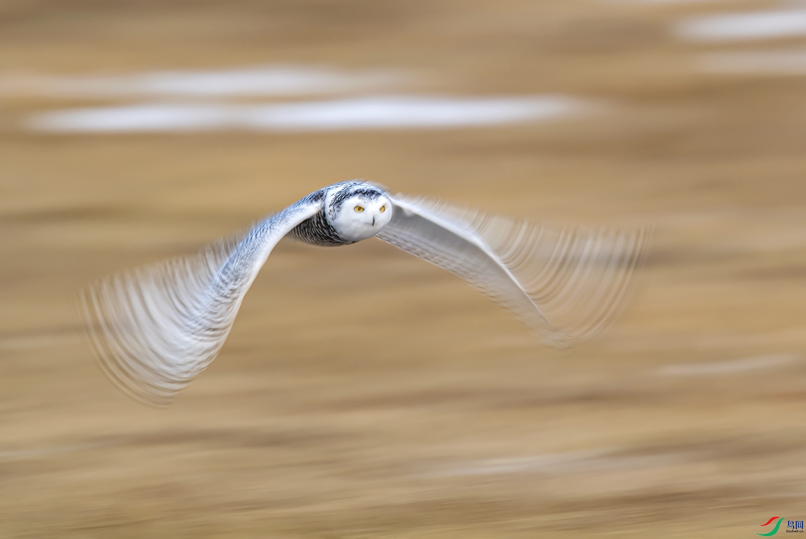 19.�趯�ĳ�� ����ݶ�����ʡ15591821688��_1.jpg