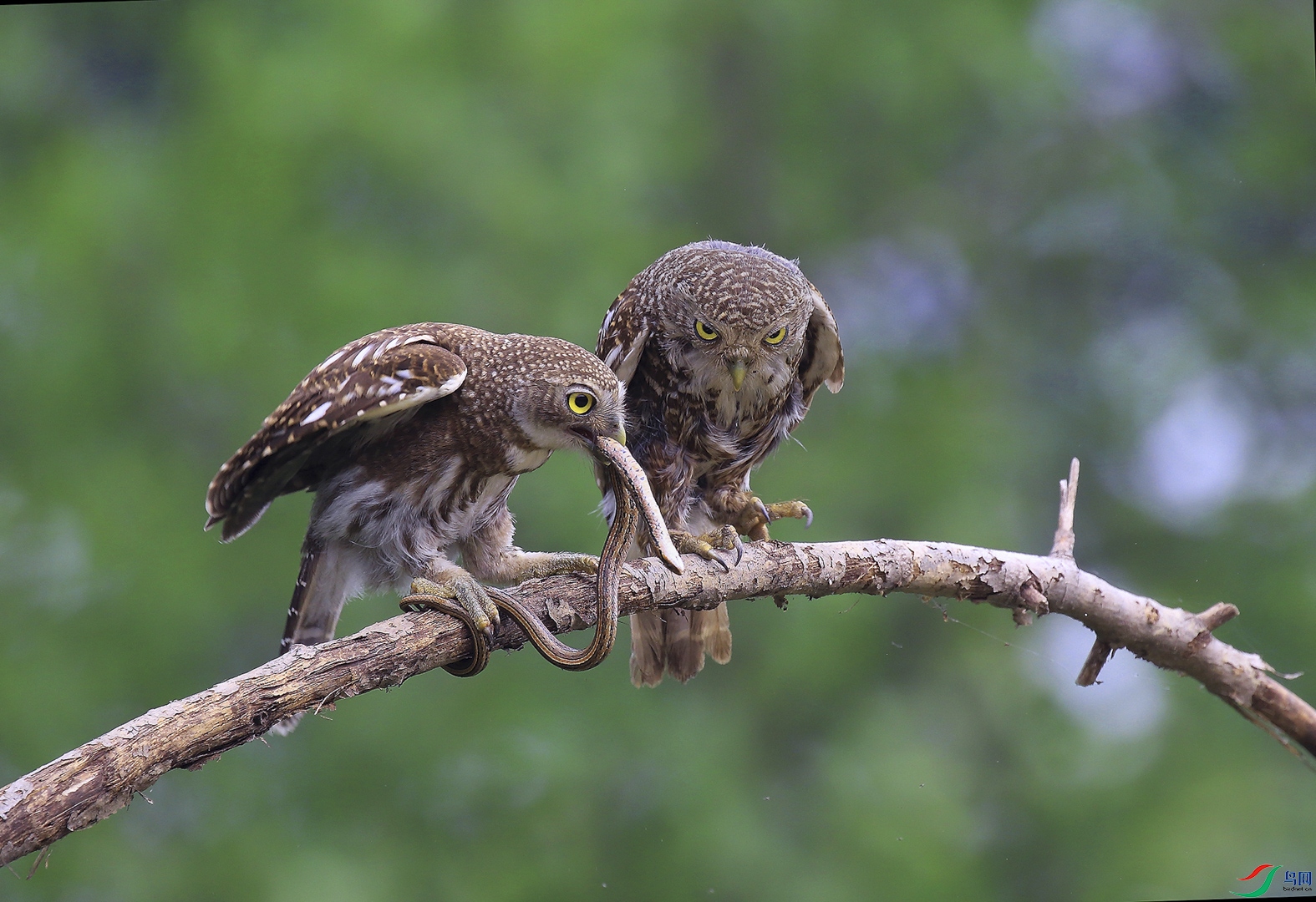 64.�����������ɱ��������ͷ��m���������� ����ʡ �绰13972211459.jpg