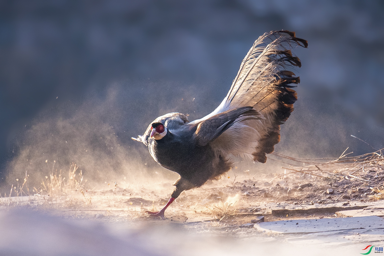 91.�����䡷���ߣ�����    ʡ�ݣ��Ϻ���    �ֻ����룺13661552963 (2).jpg