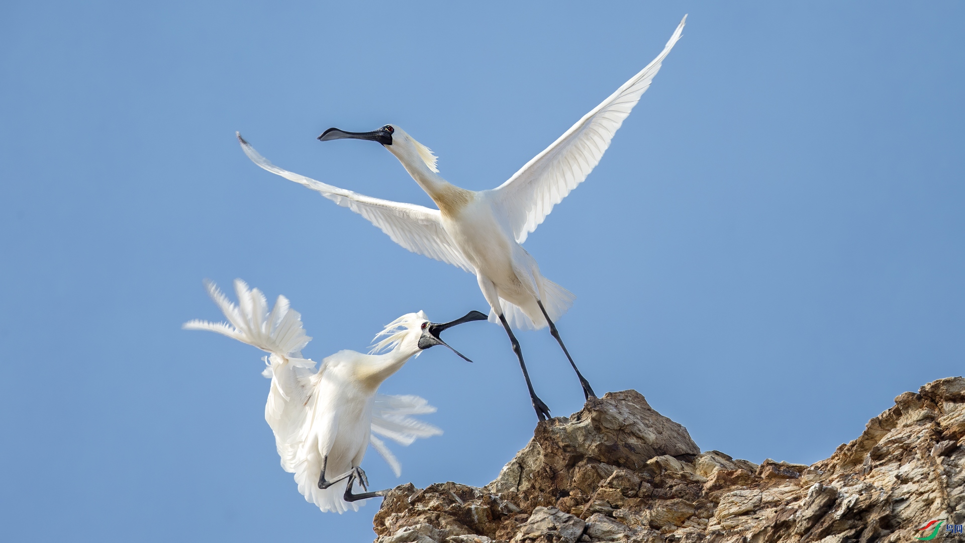 72.ǿ��ռλ �ſ� �Ϻ��� 13361939908.jpg