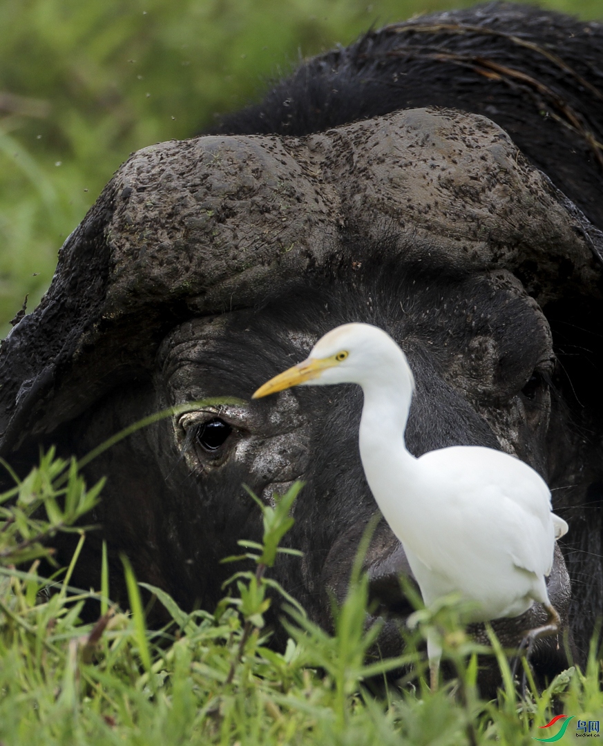 33.��ǰ���� �޵�ɽ ���� 13701189061.jpg