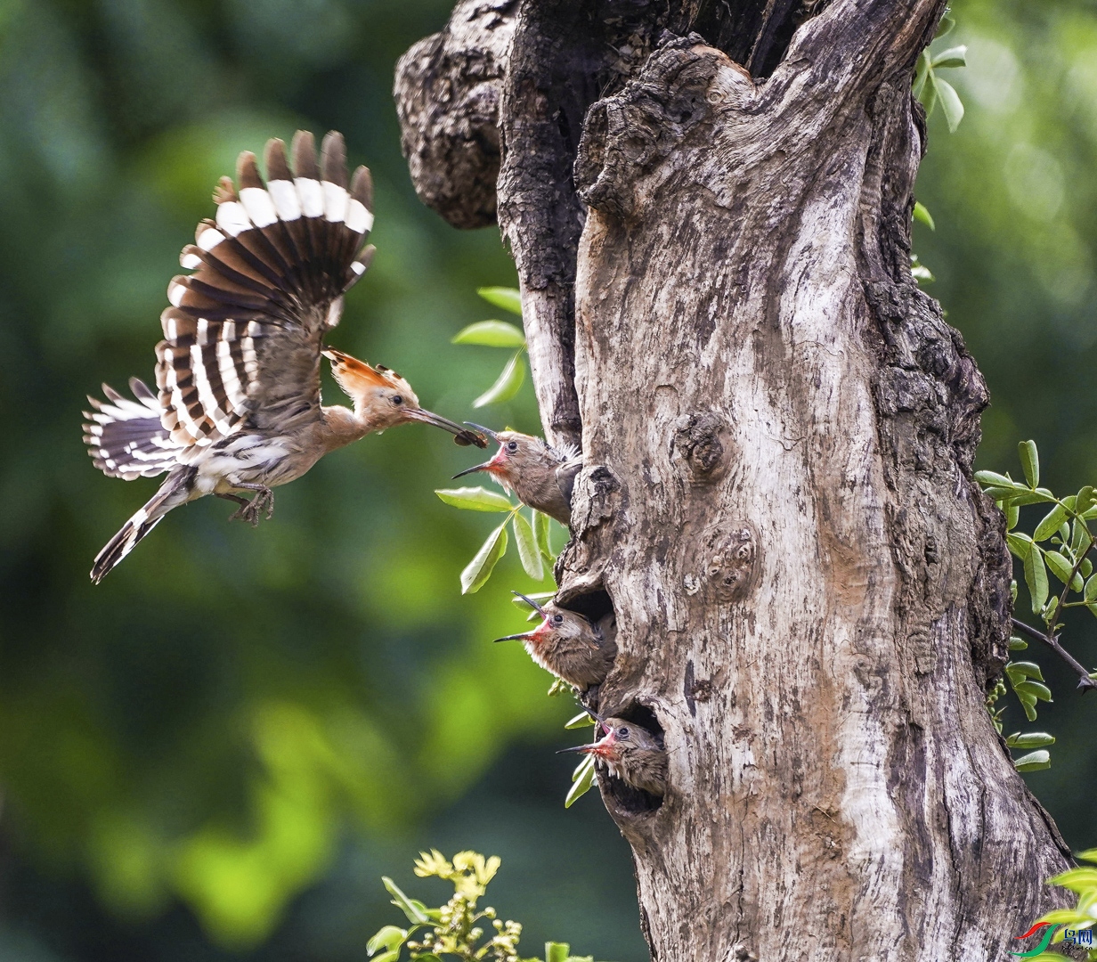 86.��ʤ������ˮ�� ���㡣������13605596628.jpg