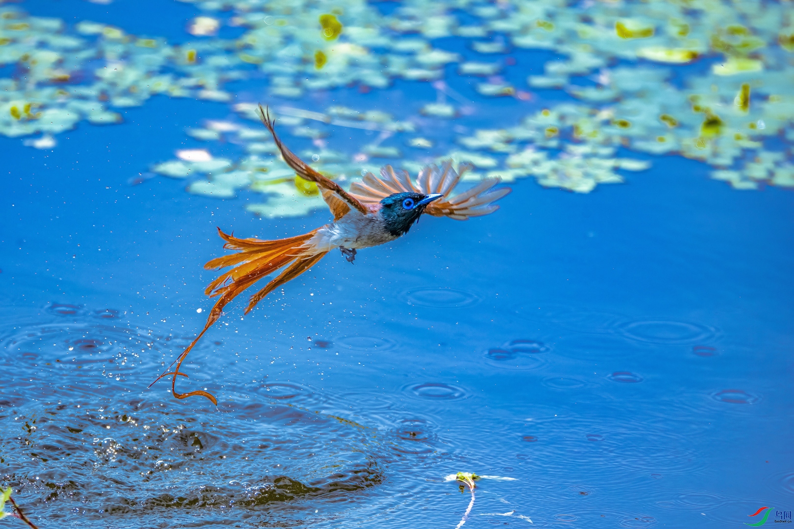 17.�ٴ���ԡ ��� ����ʡ 13856140229.jpg