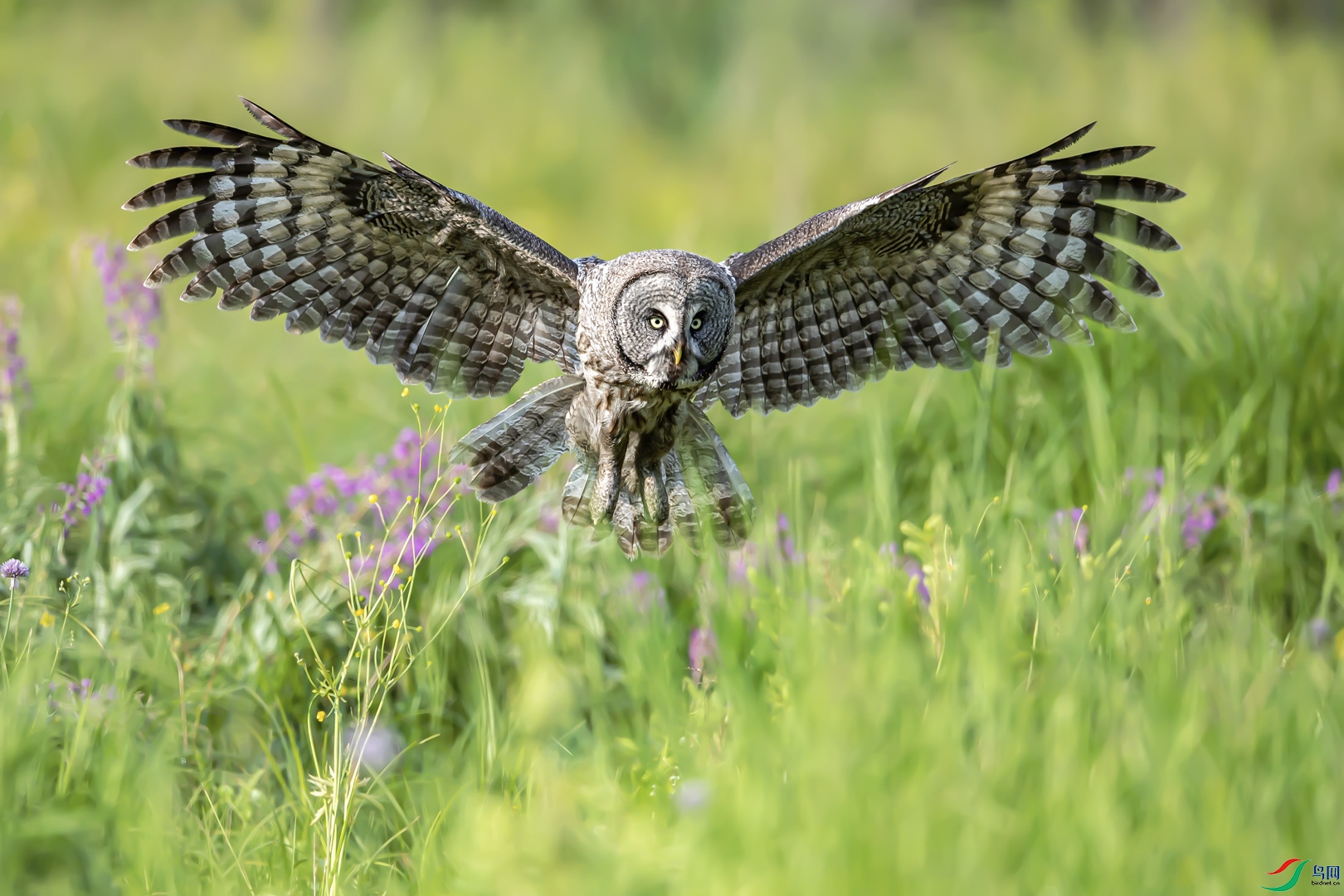 39.���^չӢ�ˡ� ����ǿ ����Ȫ�� 13599298168.jpg