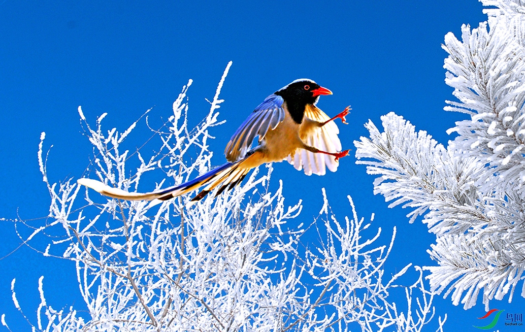 5.������֦����ȸ-������ȸ 4656AM.jpg