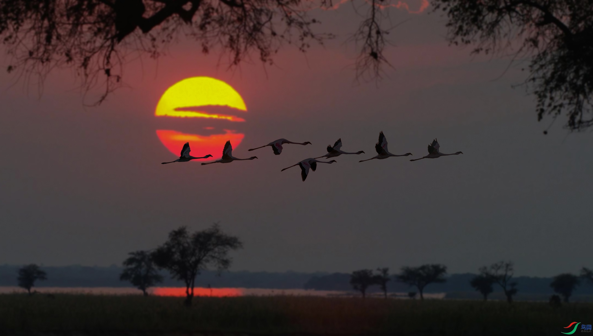 ��� 1920x500k.jpg