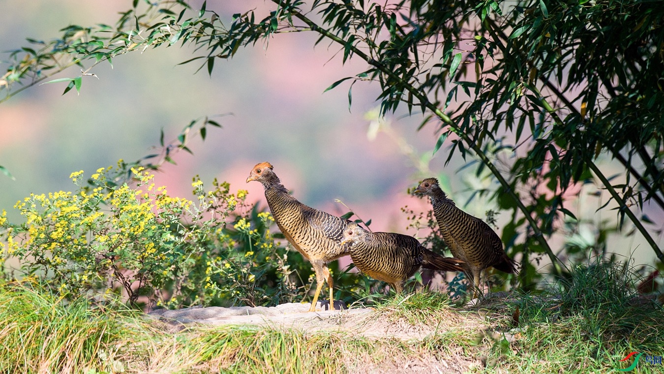 XCG_3059 - ����.jpg