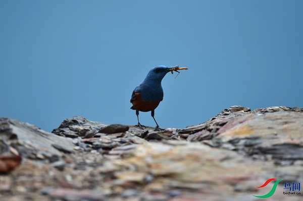 File0000051561.jpg