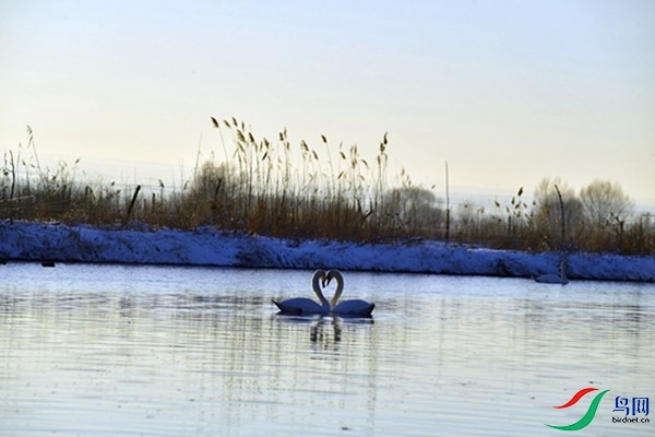 File0000079392.jpg