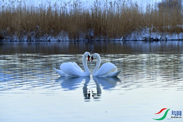 File0000079523.jpg