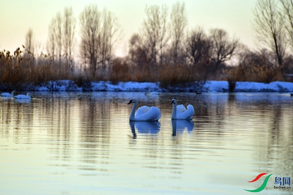 File0000079439.jpg