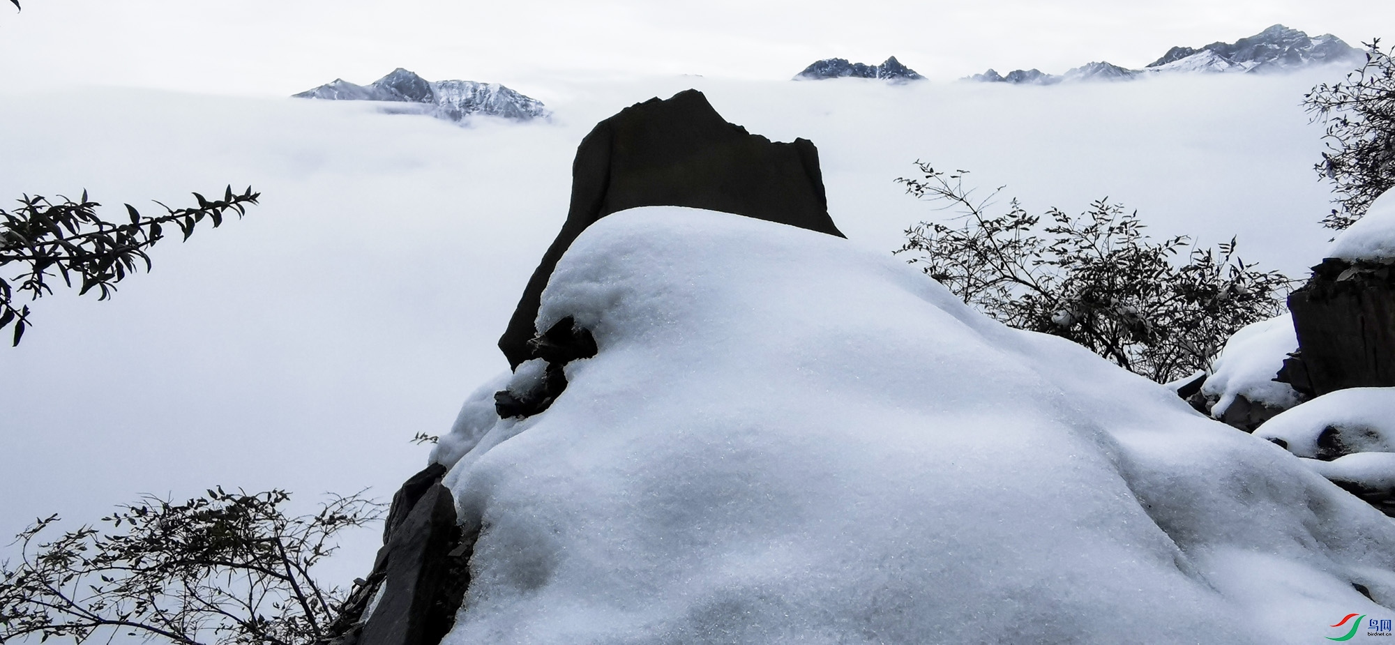 ����ɽ��ѩ