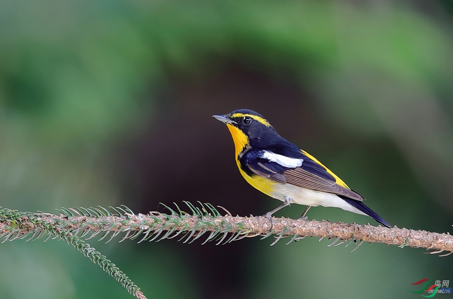 ɣ��  ��ʦ�����ڹ㶫ʡ������.jpg