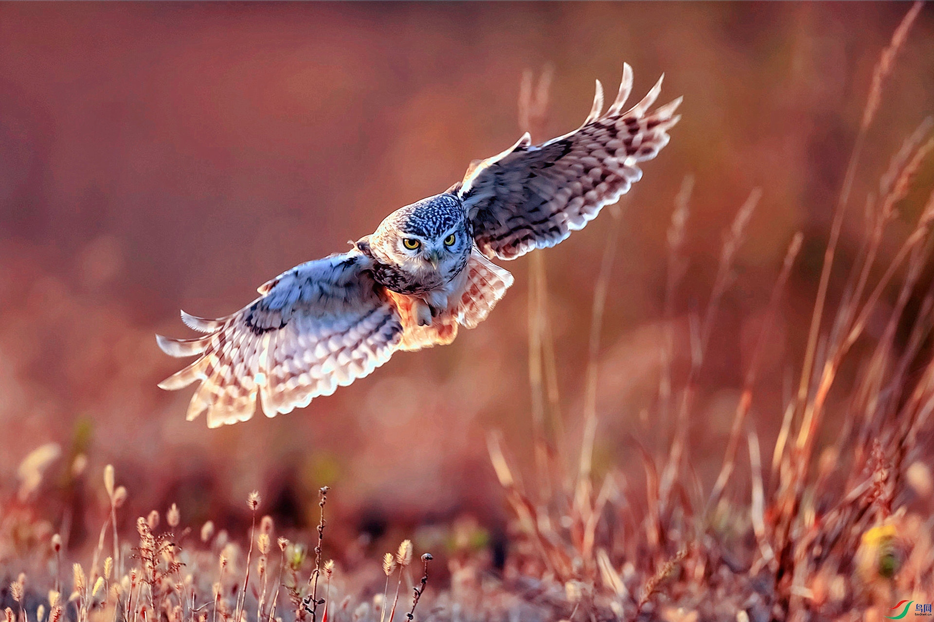 081543zpvjini5j75v44jj.jpg