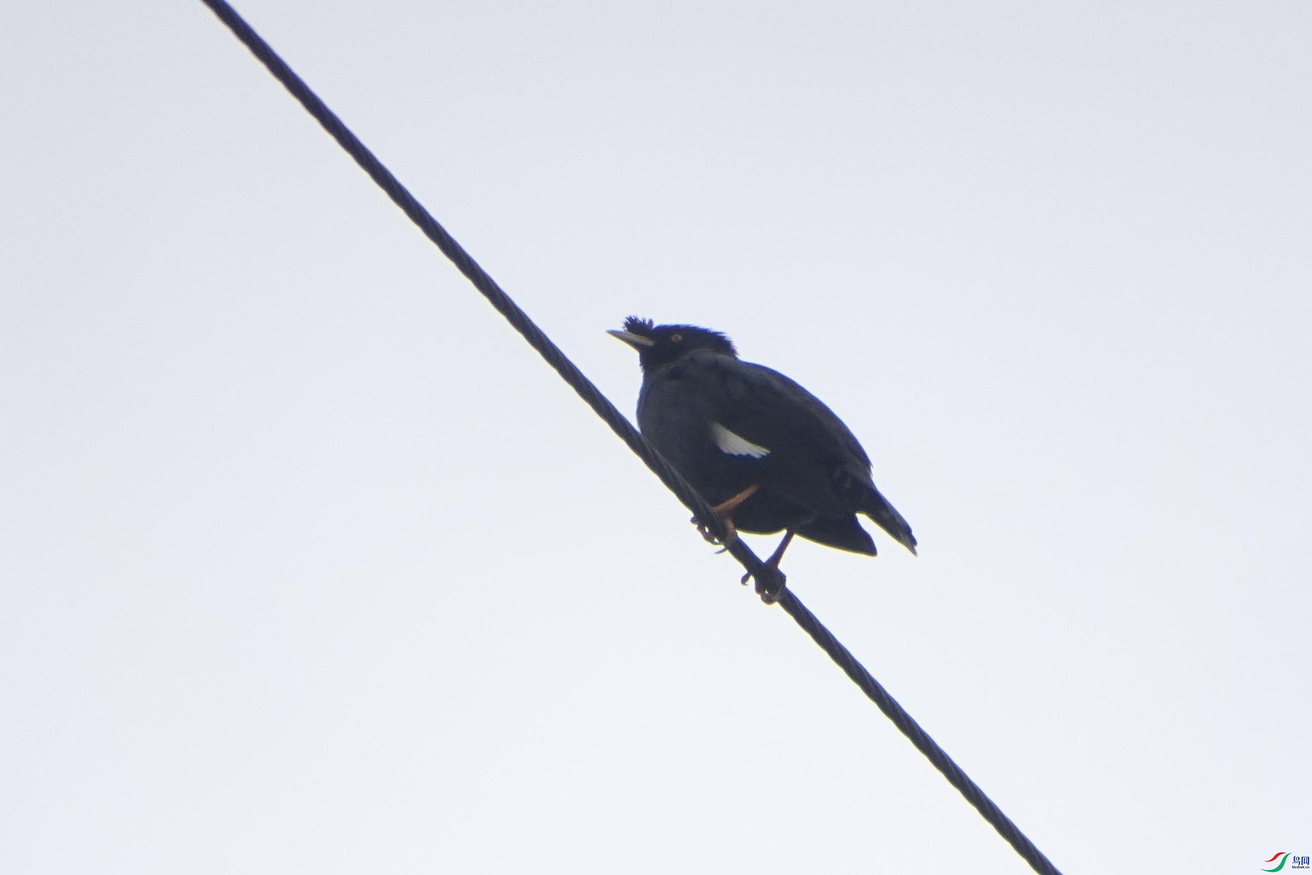 DSC01250_���ٿ�ͼ.jpg
