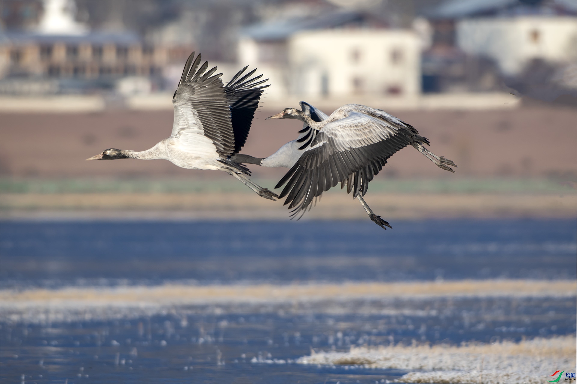 DSC_2688.jpg