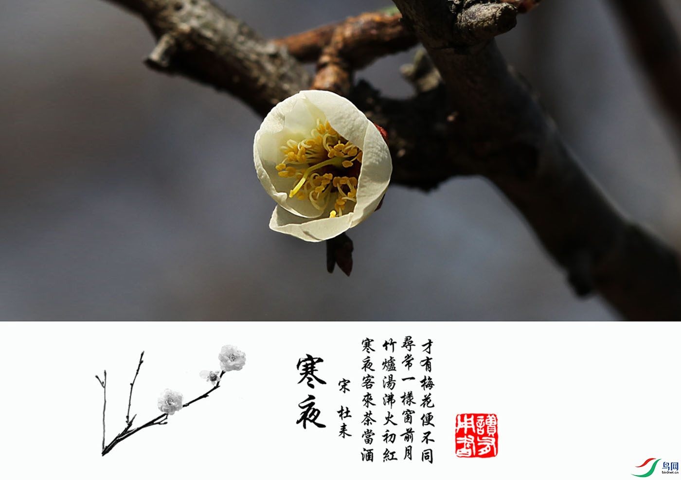 �� ÷-06.jpg