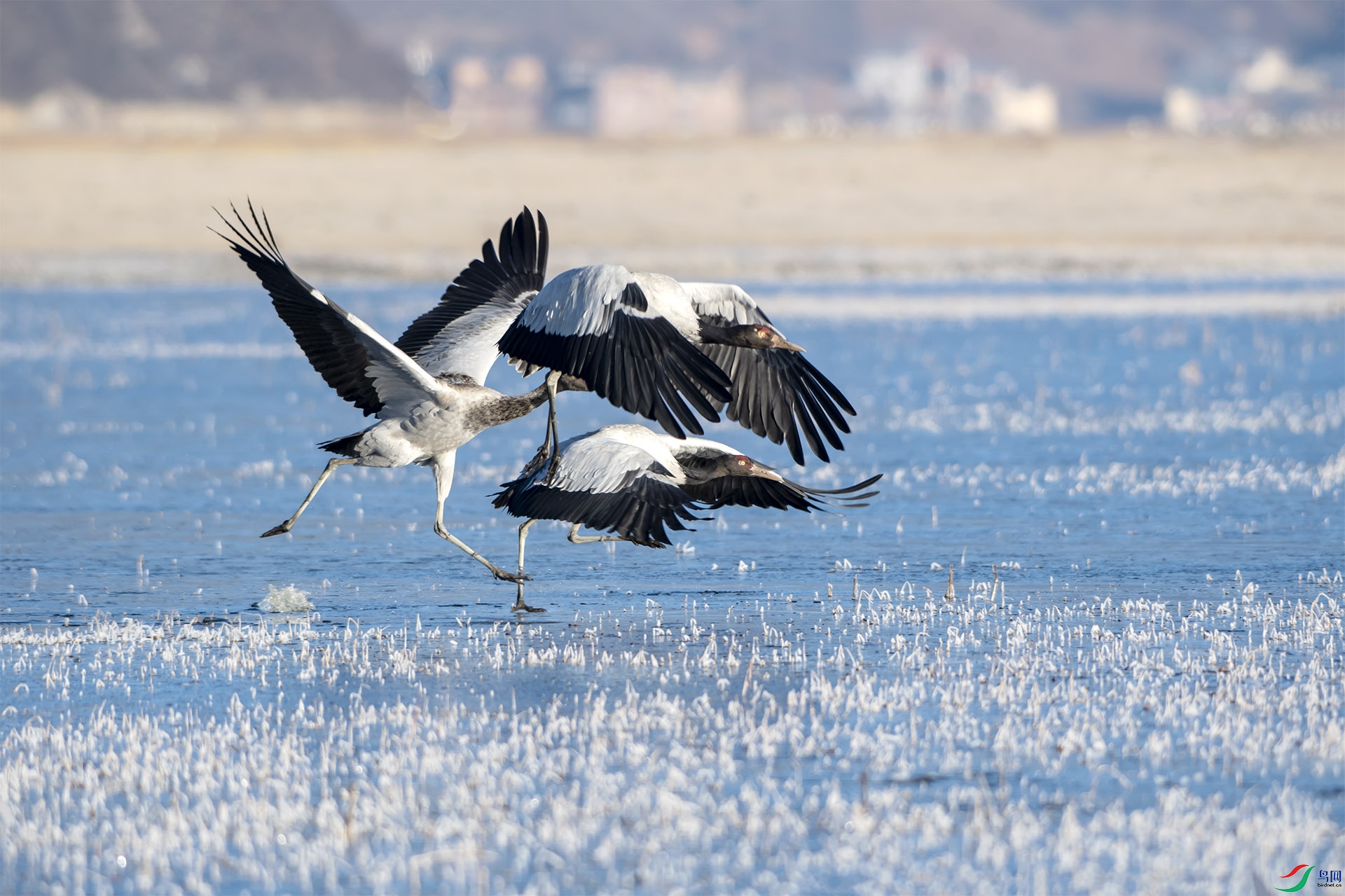 DSC_2744.jpg