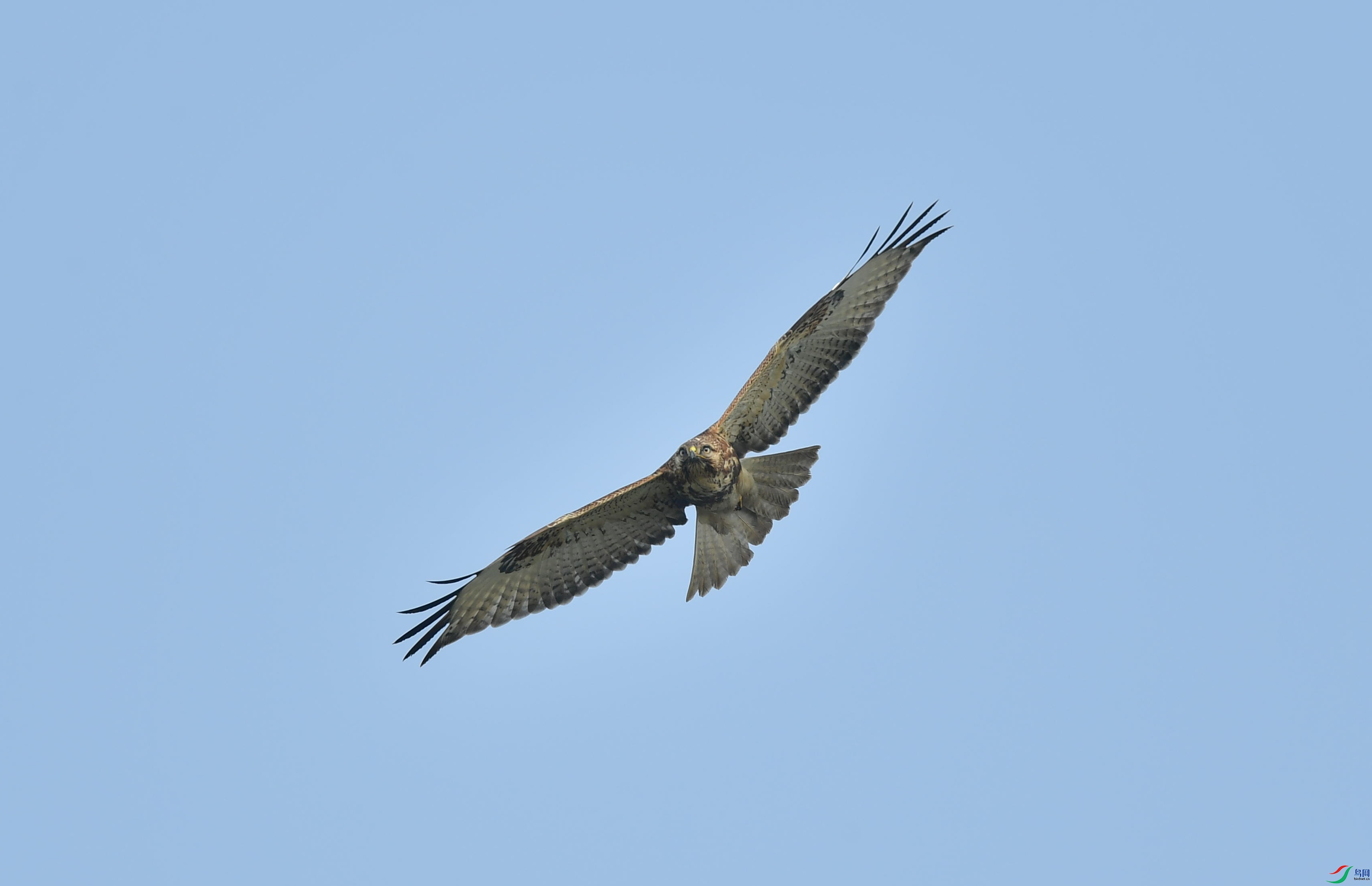 DSC_5430_����.jpg