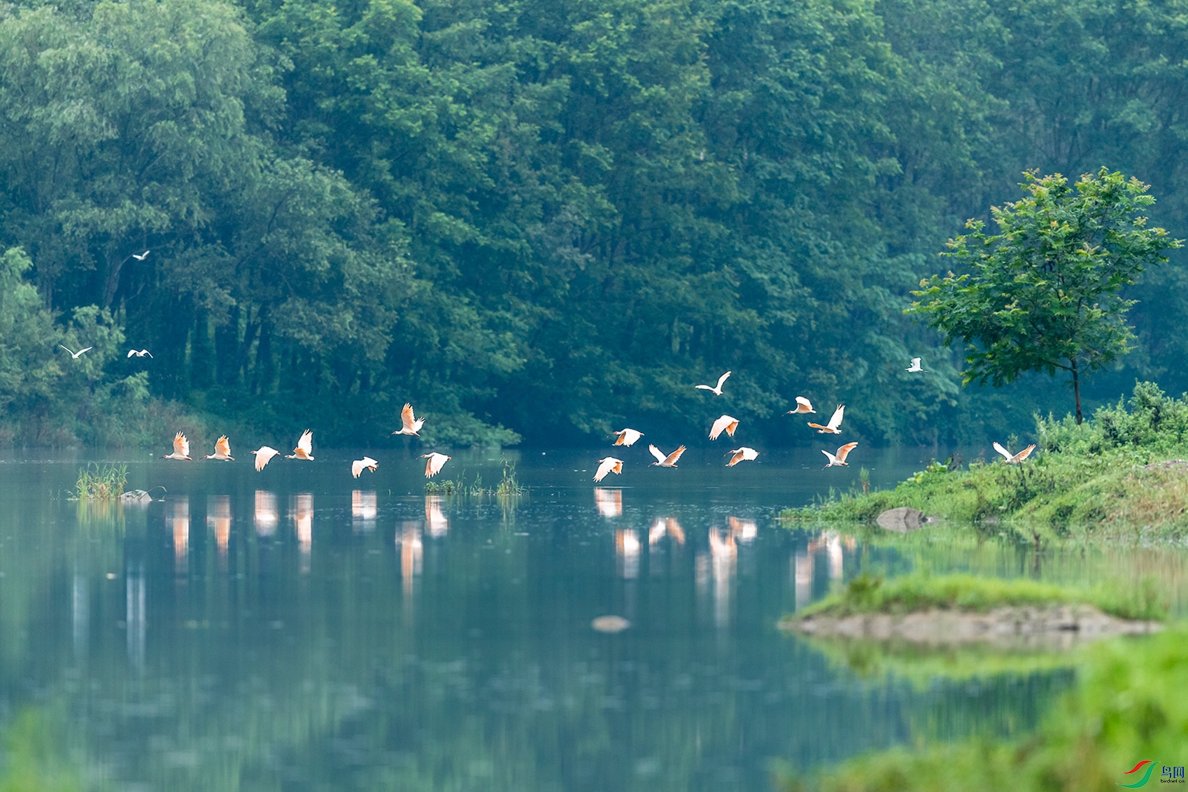 ��̬����