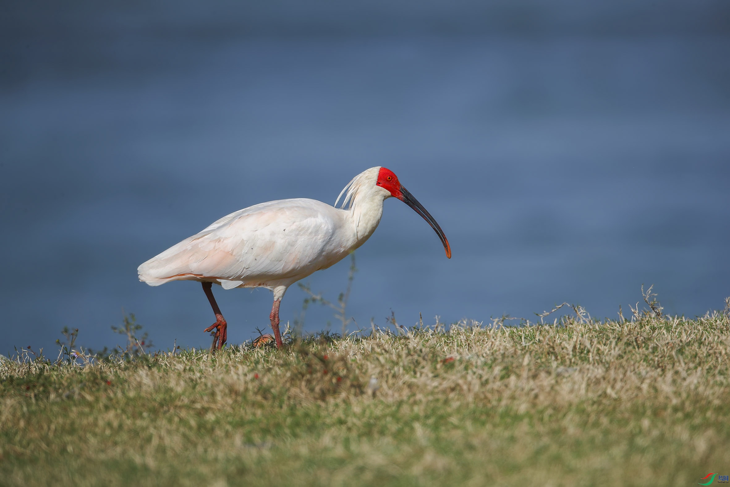 2 (23) - ����.jpg