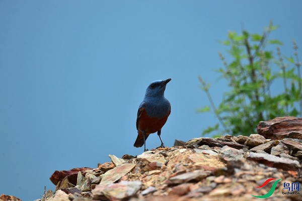 File0000051716.jpg