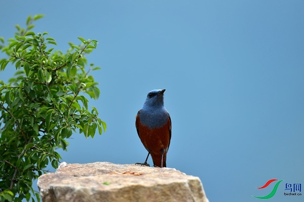 File0000051894.jpg