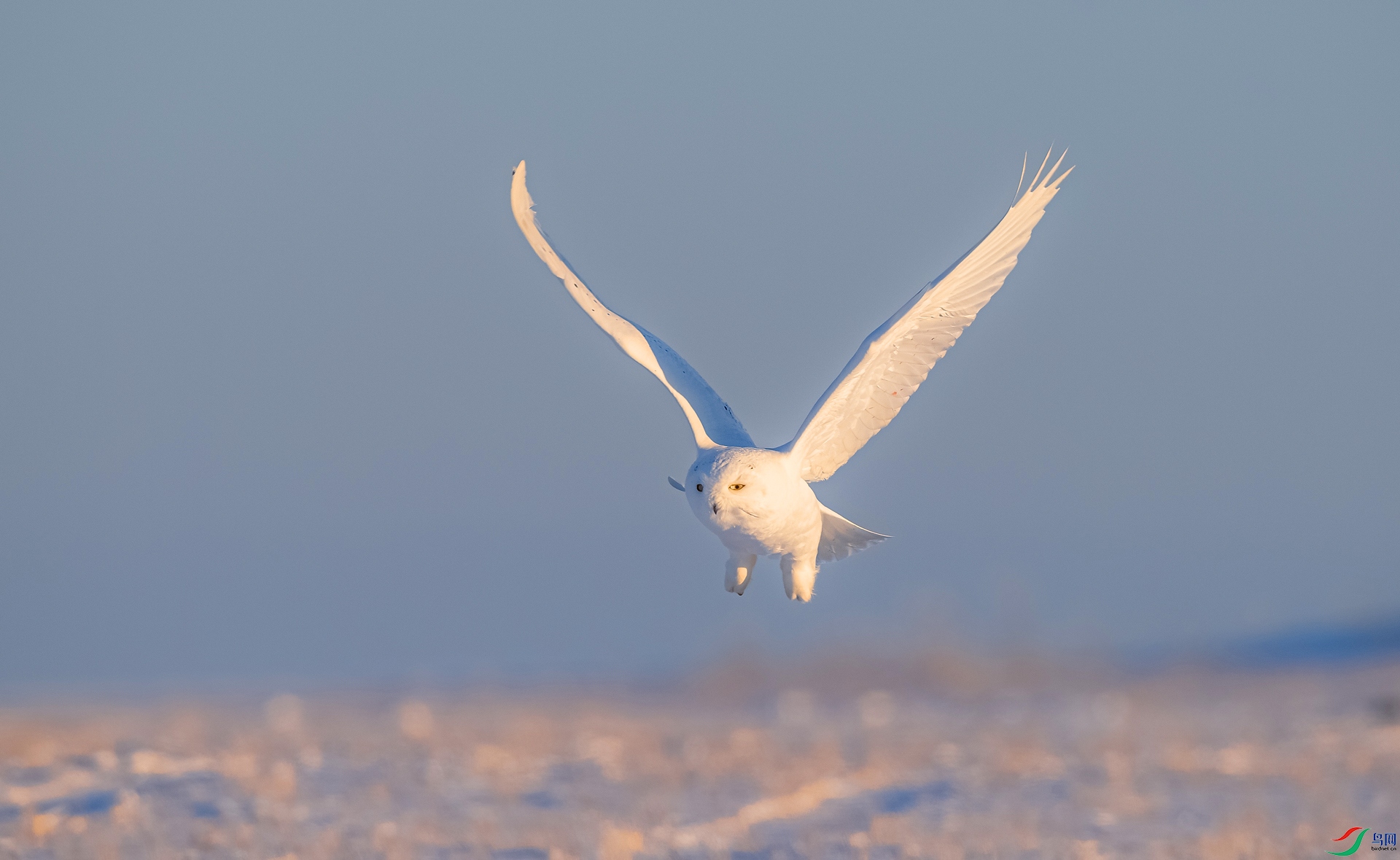 _DSC2183==1w.jpg
