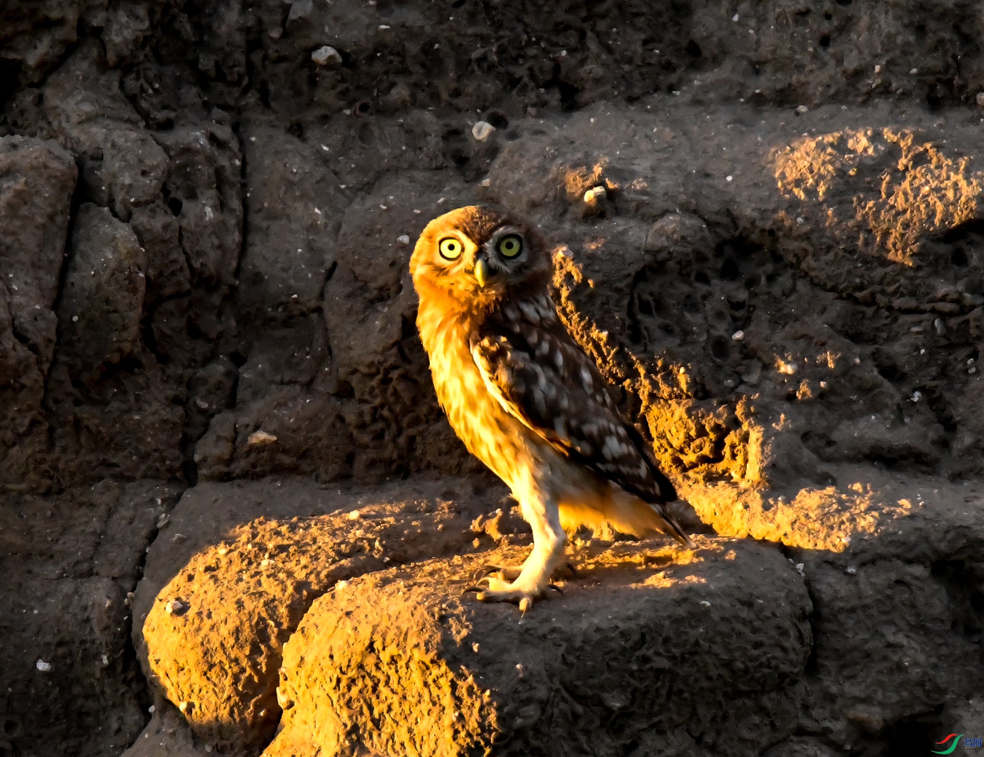 ӭ��һ������