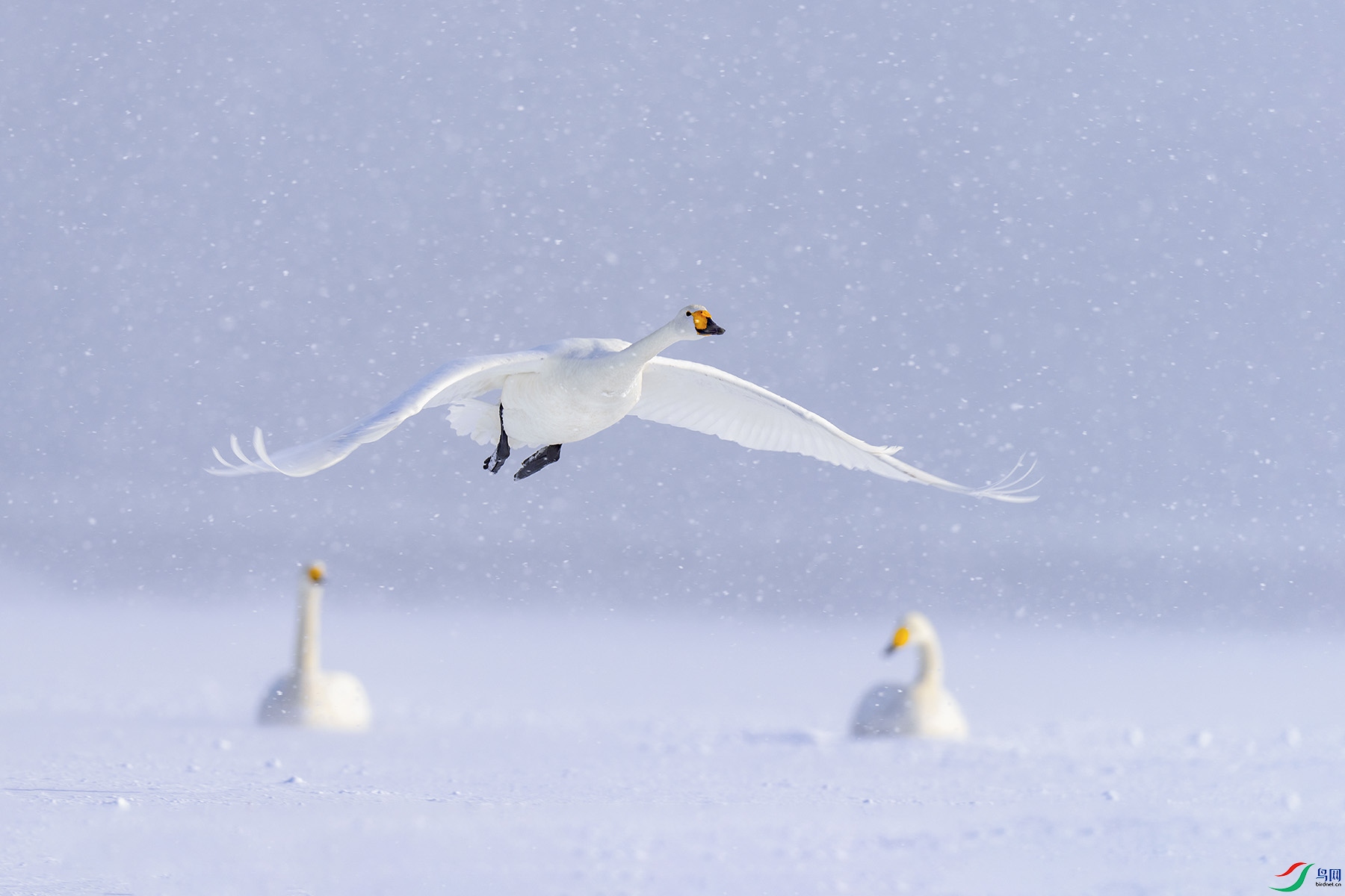 _DSC5717 ����.jpg