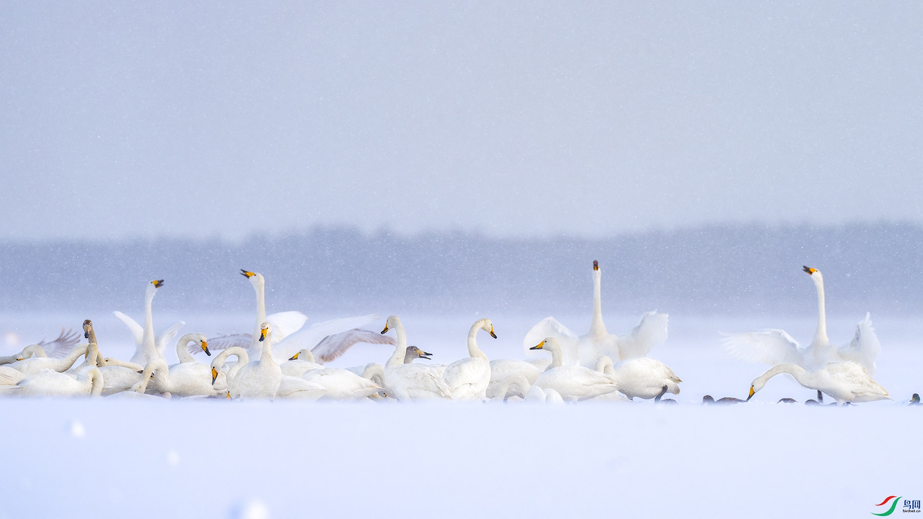 _DSC5771 ����.jpg