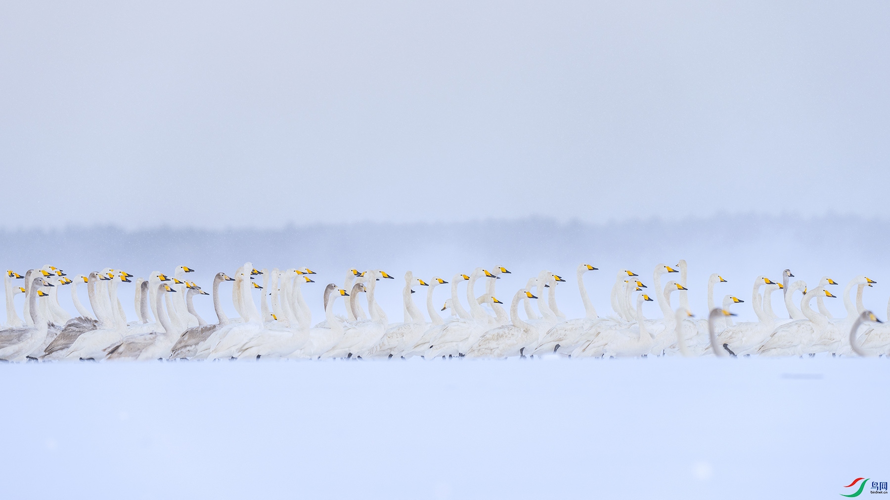 _DSC5847 ����.jpg