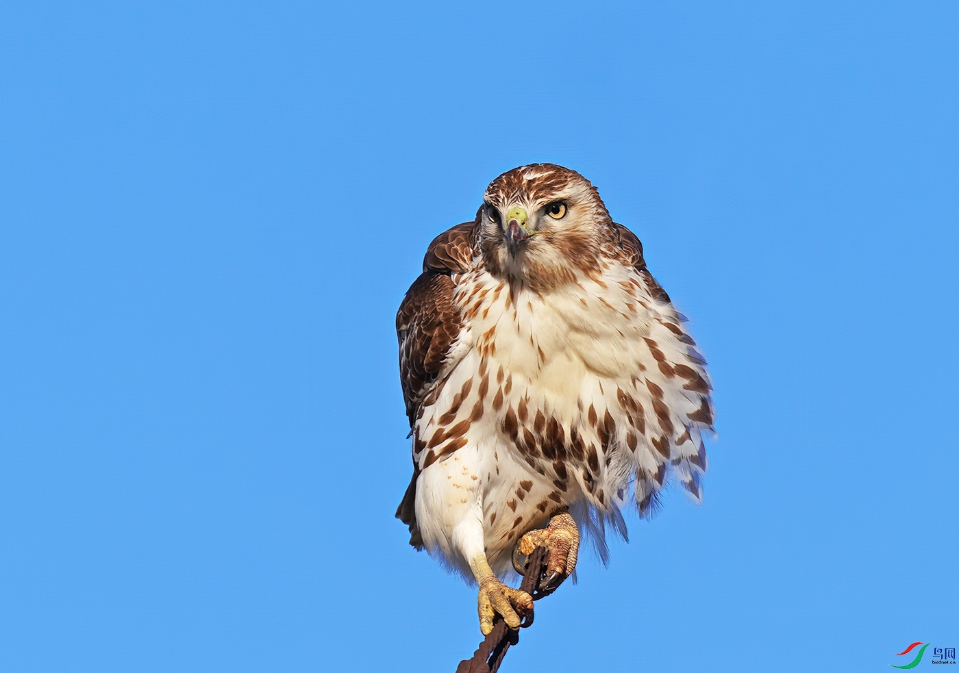 DSC09666----.jpg