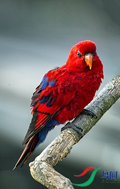 _GZ37782 ����.jpg