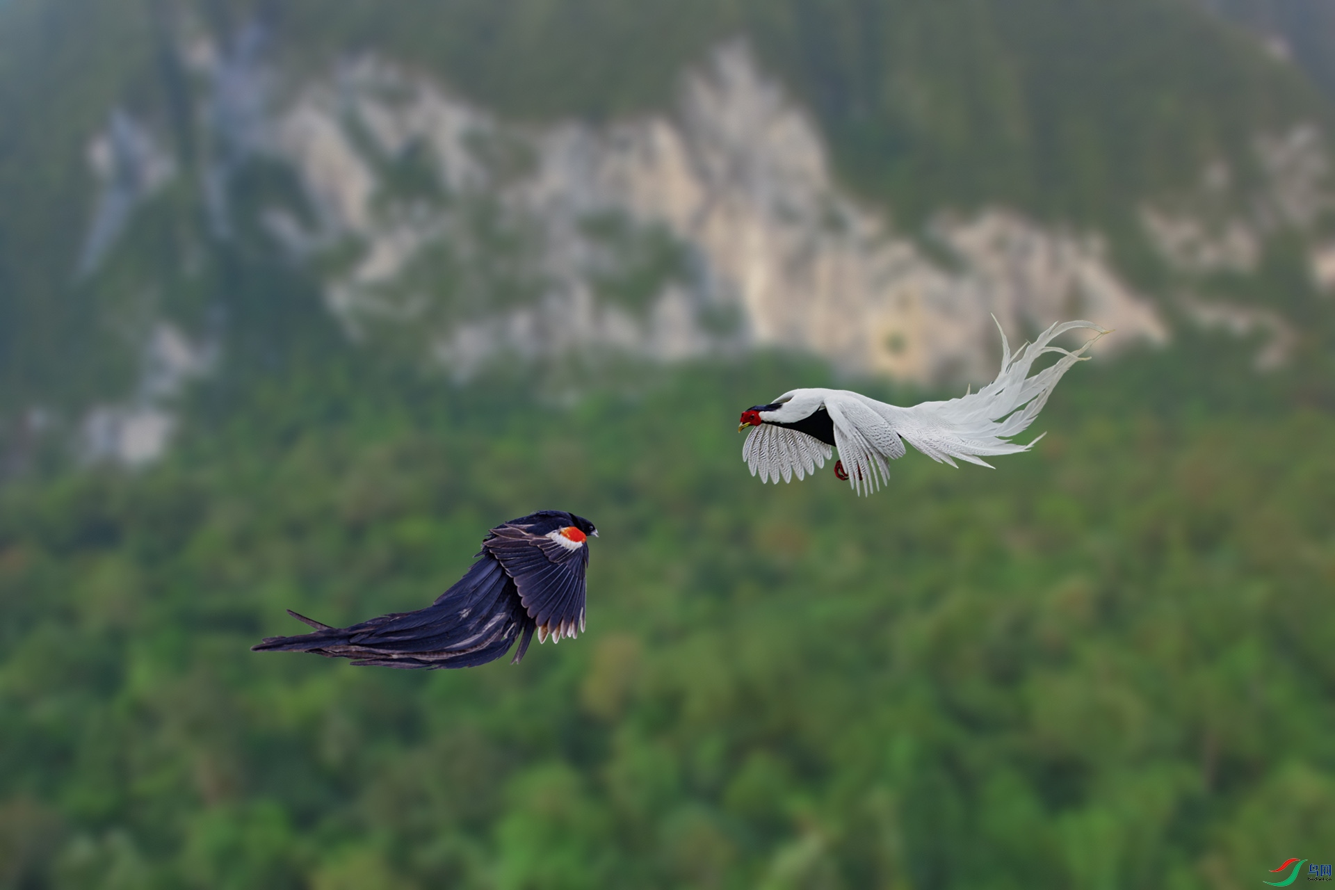 ���� 1920x500k.jpg